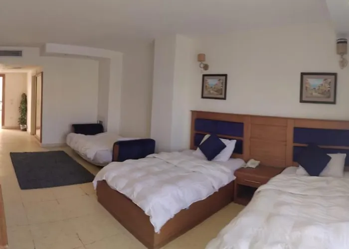 Palma 3*